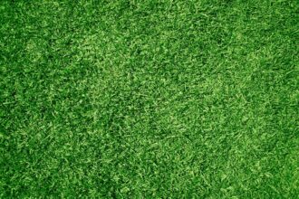 turf