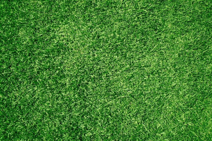 turf