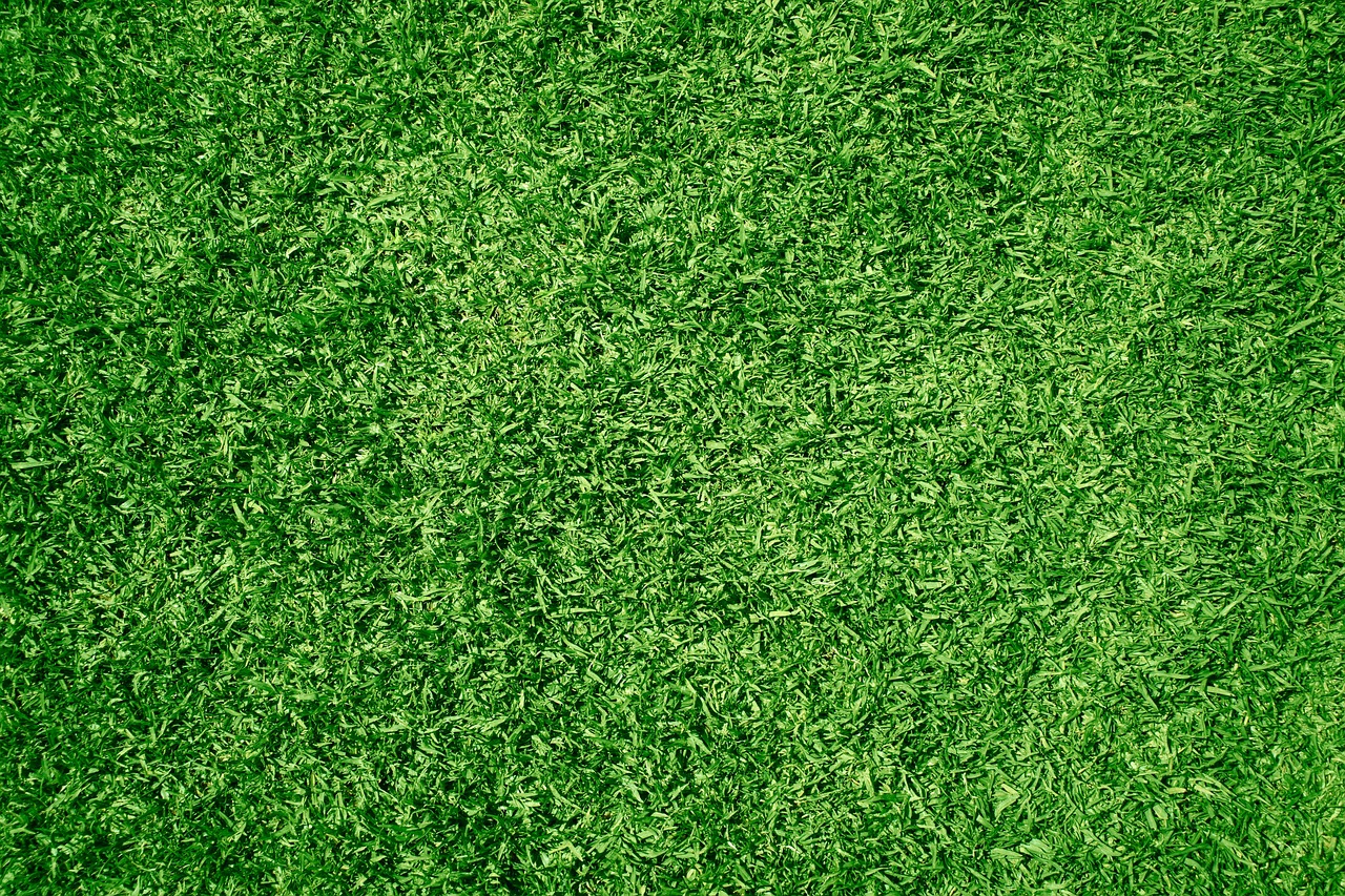 turf